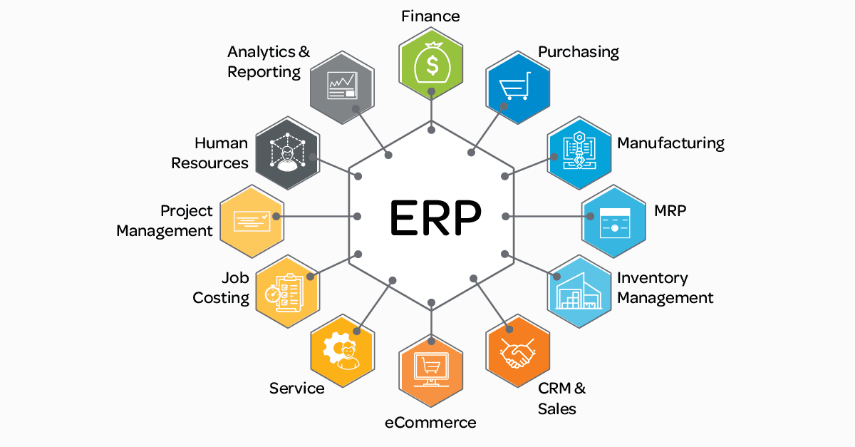 Understanding ERP ID